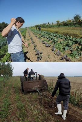 La Ferme des Possibles