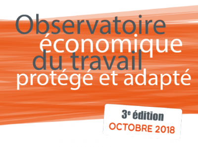 Participez à la 3e édition de l’Observatoire économique du travail protégé et adapté !