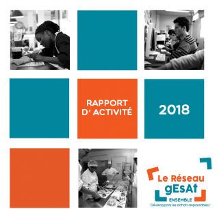 Assemblée Générale  2018 - Téléchargez le rapport d'activité du Réseau Gesat