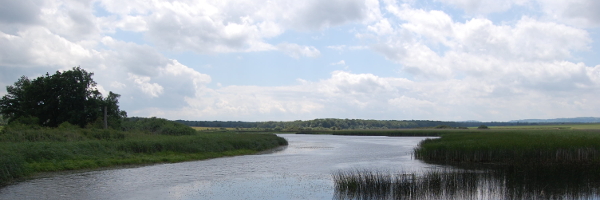 Vue sur l'étang du Domaine du Vieux Moulin - ESAT de Lachaussée